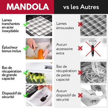MANDOLA Coupe-légumes Multifonction 9-en-1